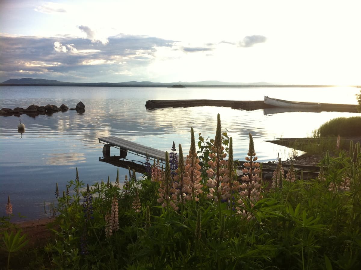 Tatueringsarbete av Caroline