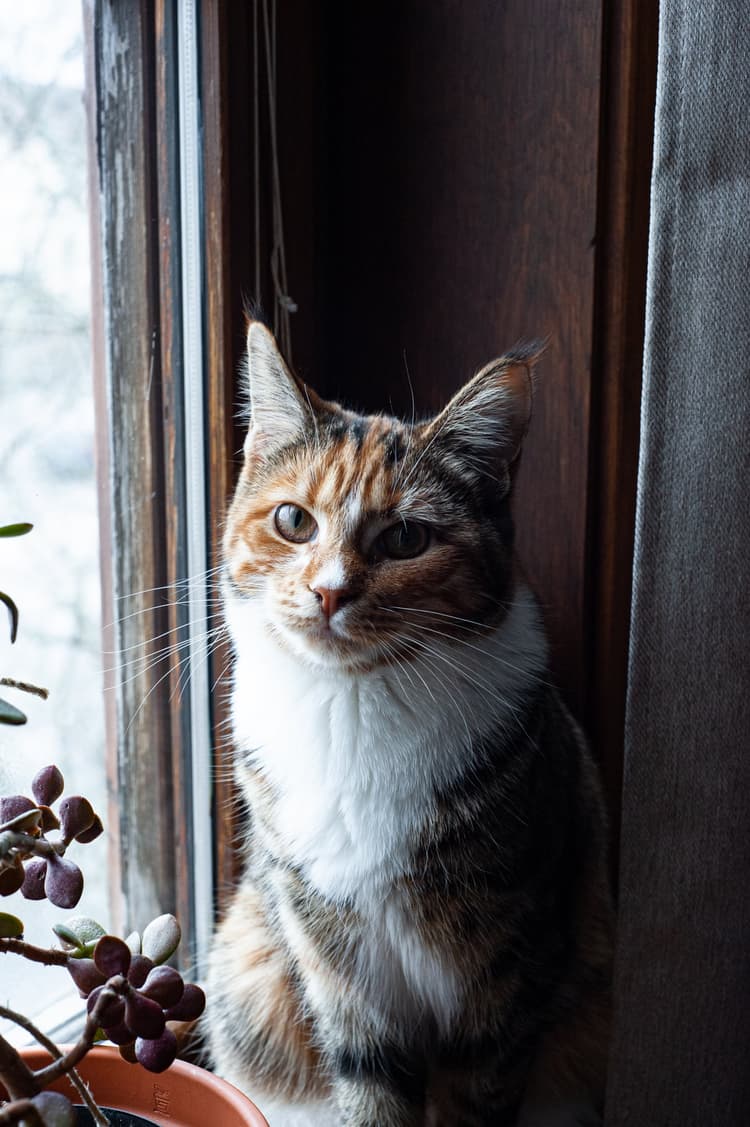 Tatueringsarbete av Caroline